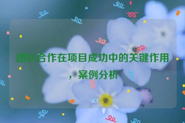 團(tuán)隊合作在項目成功中的關(guān)鍵作用，案例分析