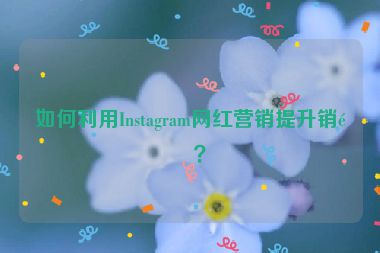 如何利用Instagram網(wǎng)紅營銷提升銷量？