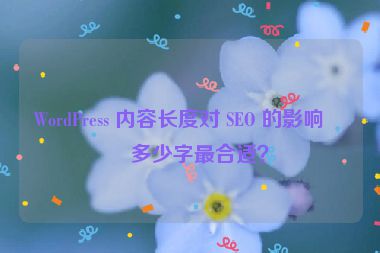 WordPress 內(nèi)容長(zhǎng)度對(duì) SEO 的影響，多少字最合適？