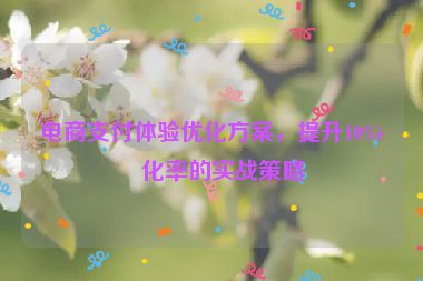 電商支付體驗優(yōu)化方案，提升10%轉(zhuǎn)化率的實戰(zhàn)策略