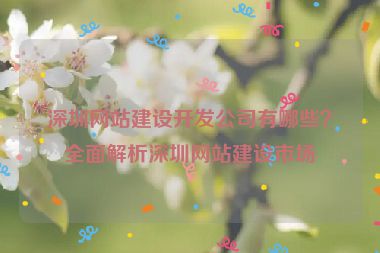 深圳網(wǎng)站建設(shè)開發(fā)公司有哪些？全面解析深圳網(wǎng)站建設(shè)市場