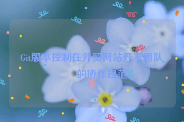 Git版本控制在外貿(mào)網(wǎng)站開發(fā)團(tuán)隊(duì)中的協(xié)作規(guī)范