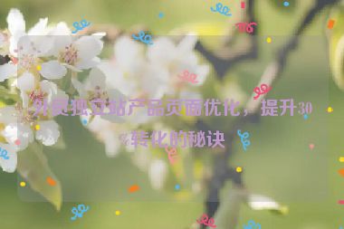 外貿(mào)獨立站產(chǎn)品頁面優(yōu)化，提升30%轉(zhuǎn)化的秘訣