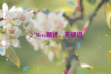 、Meta描述、關(guān)鍵詞