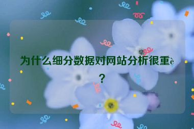 為什么細分數(shù)據(jù)對網站分析很重要？