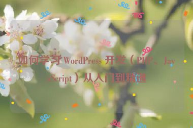 如何學(xué)習(xí) WordPress 開發(fā)（PHP、JavaScript）從入門到精通