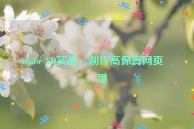 Adobe XD實(shí)戰(zhàn)，制作高保真網(wǎng)頁(yè)原型