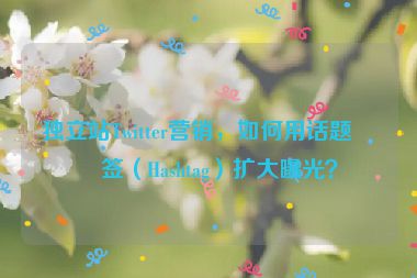 獨(dú)立站Twitter營(yíng)銷，如何用話題標(biāo)簽（Hashtag）擴(kuò)大曝光？