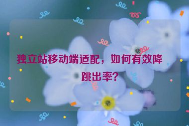 獨(dú)立站移動(dòng)端適配，如何有效降低跳出率？