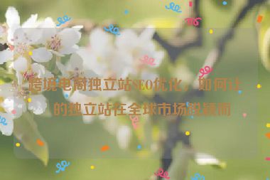跨境電商獨(dú)立站SEO優(yōu)化，如何讓你的獨(dú)立站在全球市場(chǎng)脫穎而出