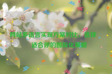 網(wǎng)站多語言實(shí)現(xiàn)方案對(duì)比，選擇最適合你的國際化策略
