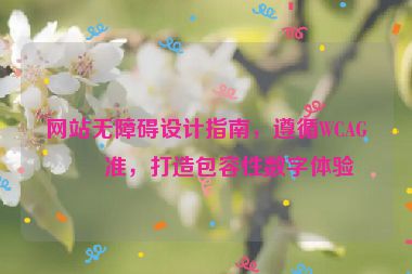 網(wǎng)站無障礙設(shè)計(jì)指南，遵循WCAG標(biāo)準(zhǔn)，打造包容性數(shù)字體驗(yàn)