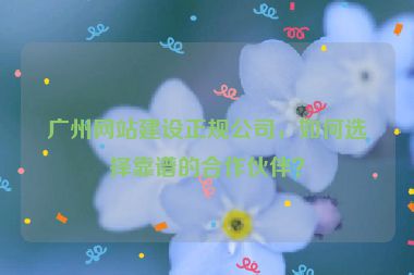 廣州網(wǎng)站建設(shè)正規(guī)公司，如何選擇靠譜的合作伙伴？