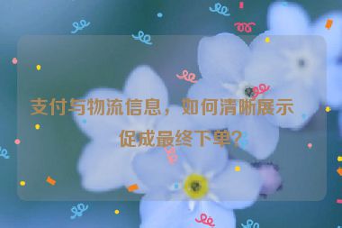 支付與物流信息，如何清晰展示以促成最終下單？