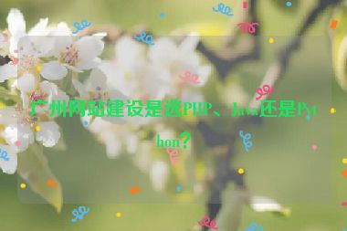 廣州網(wǎng)站建設是選PHP、Java還是Python？