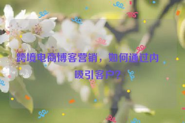 跨境電商博客營銷，如何通過內(nèi)容吸引客戶？