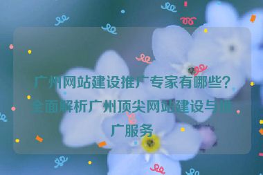 廣州網(wǎng)站建設(shè)推廣專家有哪些？全面解析廣州頂尖網(wǎng)站建設(shè)與推廣服務(wù)