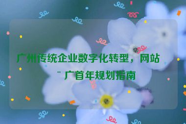 廣州傳統(tǒng)企業(yè)數(shù)字化轉(zhuǎn)型，網(wǎng)站推廣首年規(guī)劃指南