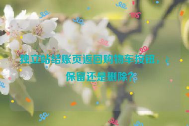 獨(dú)立站結(jié)賬頁(yè)返回購(gòu)物車按鈕，該保留還是刪除？