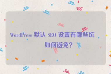 WordPress 默認(rèn) SEO 設(shè)置有哪些坑？如何避免？