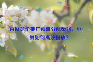 百度競(jìng)價(jià)推廣預(yù)算分配策略，小預(yù)算如何高效投放？