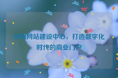 深圳網(wǎng)站建設(shè)中心，打造數(shù)字化時(shí)代的商業(yè)門戶