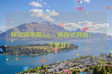 移動端電商App vs 響應(yīng)式網(wǎng)站，哪個更好？