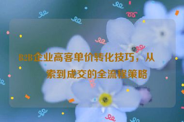 B2B企業(yè)高客單價(jià)轉(zhuǎn)化技巧，從線索到成交的全流程策略