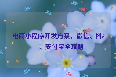 電商小程序開發(fā)方案，微信、抖音、支付寶全攻略