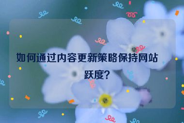 如何通過內(nèi)容更新策略保持網(wǎng)站活躍度？