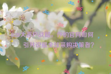 B2B大客戶戰(zhàn)略，你的官網(wǎng)如何吸引并說服全球采購決策者？