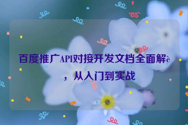 百度推廣API對接開發(fā)文檔全面解讀，從入門到實(shí)戰(zhàn)