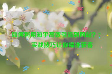 如何利用知乎高效引流到網(wǎng)站？7個實(shí)戰(zhàn)技巧讓你精準(zhǔn)獲客