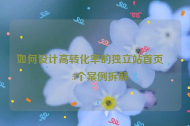 如何設(shè)計高轉(zhuǎn)化率的獨立站首頁？5個案例拆解