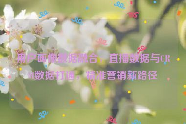 用戶畫像數(shù)據(jù)融合，直播數(shù)據(jù)與CRM數(shù)據(jù)打通，精準(zhǔn)營銷新路徑