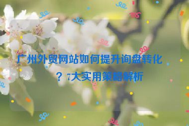 廣州外貿(mào)網(wǎng)站如何提升詢(xún)盤(pán)轉(zhuǎn)化率？7大實(shí)用策略解析