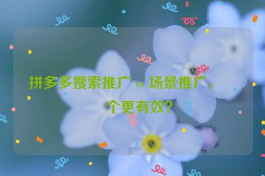 拼多多搜索推廣 vs 場景推廣，哪個(gè)更有效？