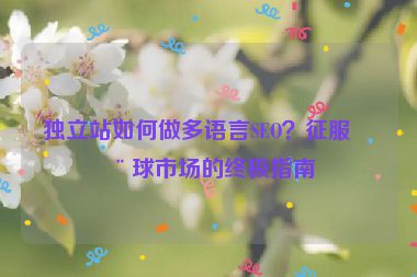 獨(dú)立站如何做多語(yǔ)言SEO？征服全球市場(chǎng)的終極指南