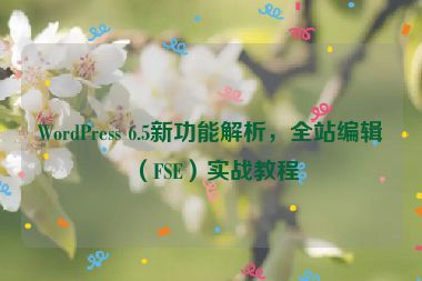 WordPress 6.5新功能解析，全站編輯（FSE）實(shí)戰(zhàn)教程