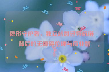 隱形守護(hù)者，獨(dú)立站跳過導(dǎo)航鏈接背后的無障礙倫理與商業(yè)智慧
