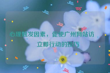 心理觸發(fā)因素，促使廣州網(wǎng)站訪客立即行動的技巧