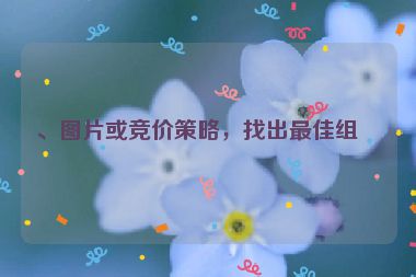 、圖片或競價策略，找出最佳組合