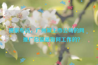 獨(dú)家專訪，廣州某上市公司的網(wǎng)站推廣總監(jiān)是如何工作的？