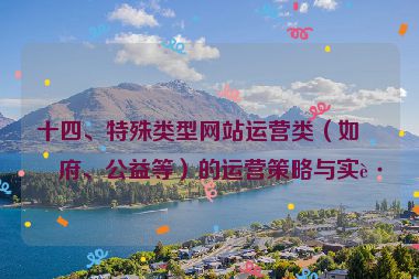 十四、特殊類型網(wǎng)站運營類（如政府、公益等）的運營策略與實踐