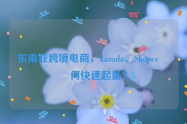 東南亞跨境電商，Lazada、Shopee如何快速起量？