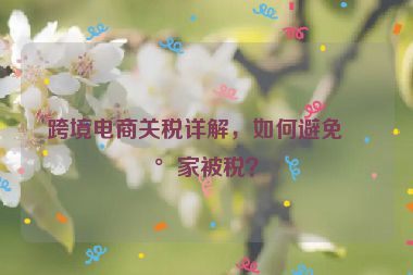 跨境電商關(guān)稅詳解，如何避免買家被稅？