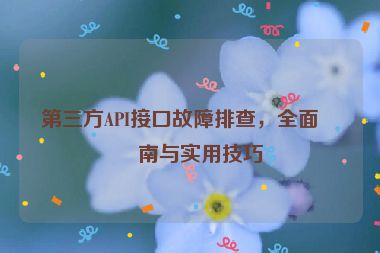 第三方API接口故障排查，全面指南與實(shí)用技巧