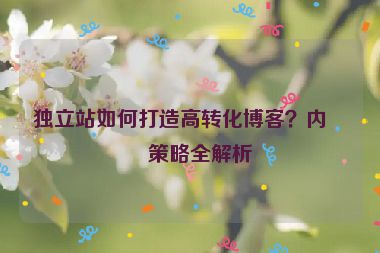 獨立站如何打造高轉(zhuǎn)化博客？內(nèi)容策略全解析