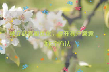 獨立站客服優(yōu)化，提升客戶滿意度的5個方法