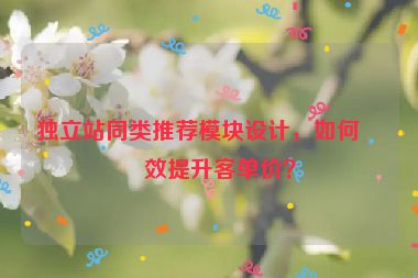 獨立站同類推薦模塊設計，如何有效提升客單價？